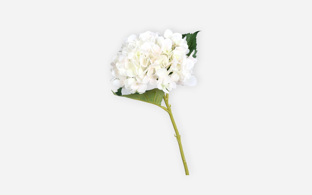 54681147 02 - Image