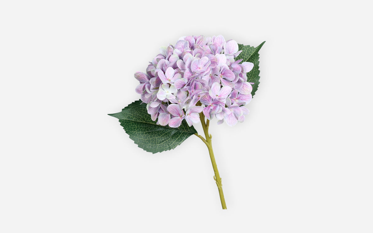 54681147 03 - Image
