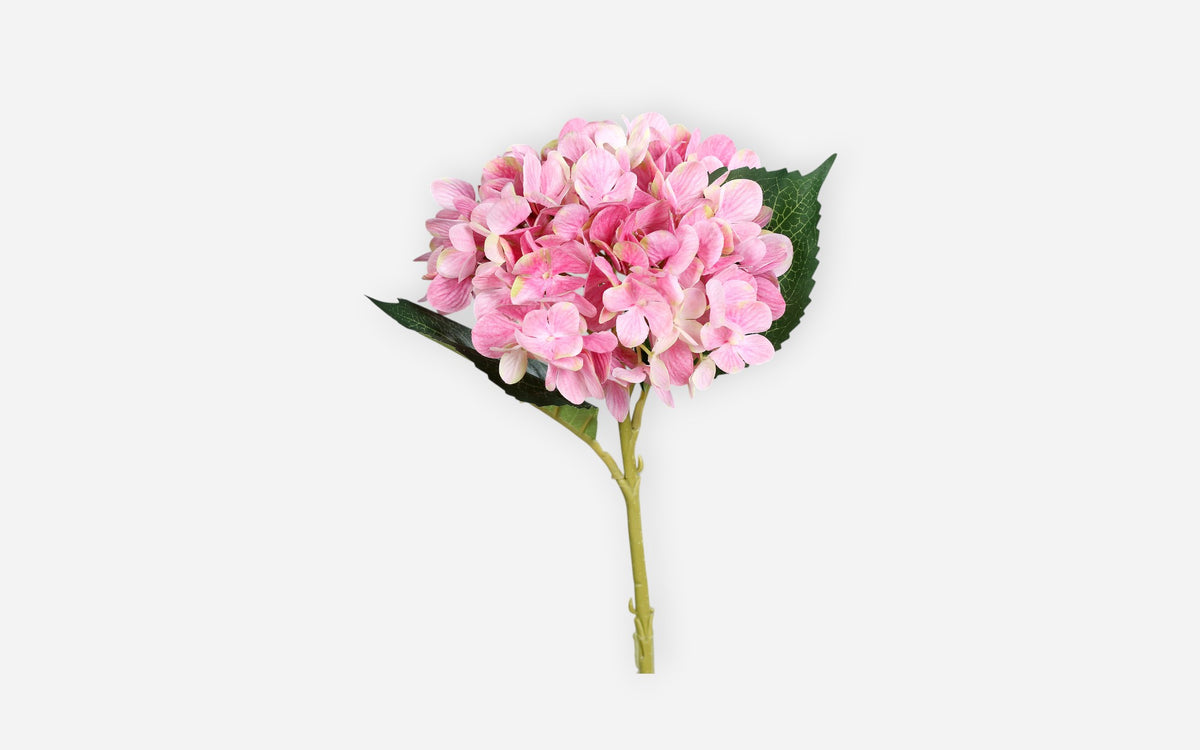 54681147 04 - Image