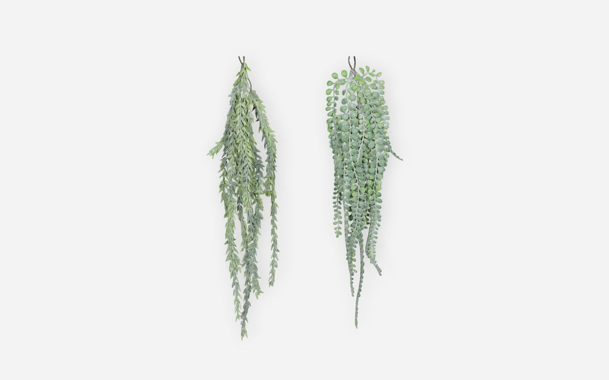 54681165 01 - Image