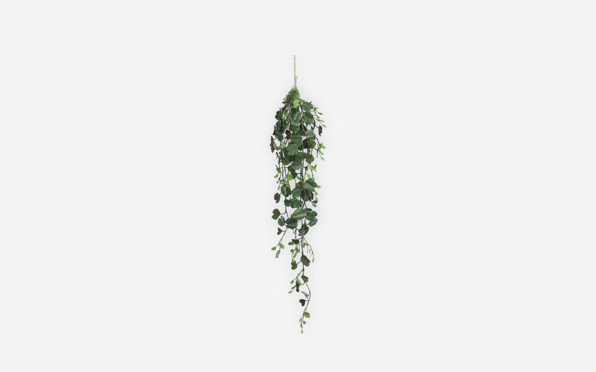54681171 01 - Image