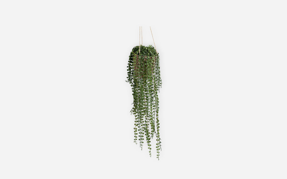 54681176 01 - Image