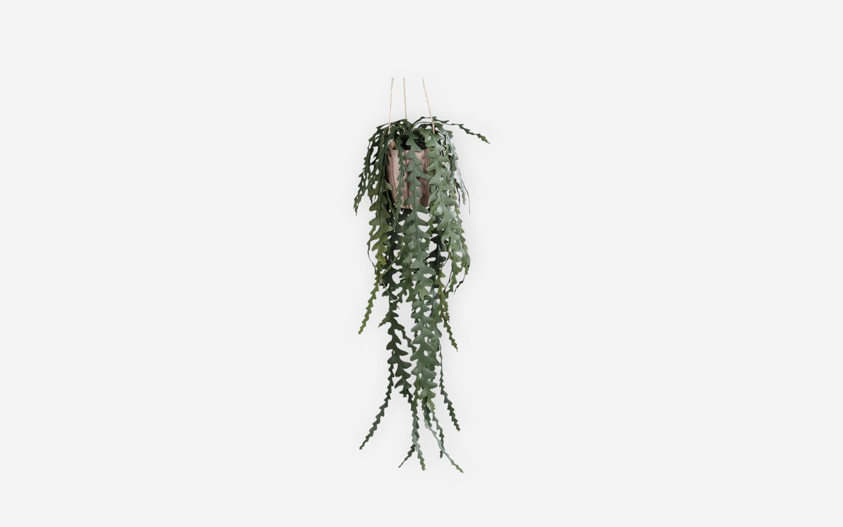 54681177 01 - Image
