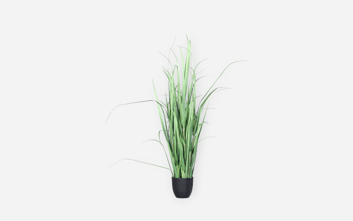 54681179 01 - Image