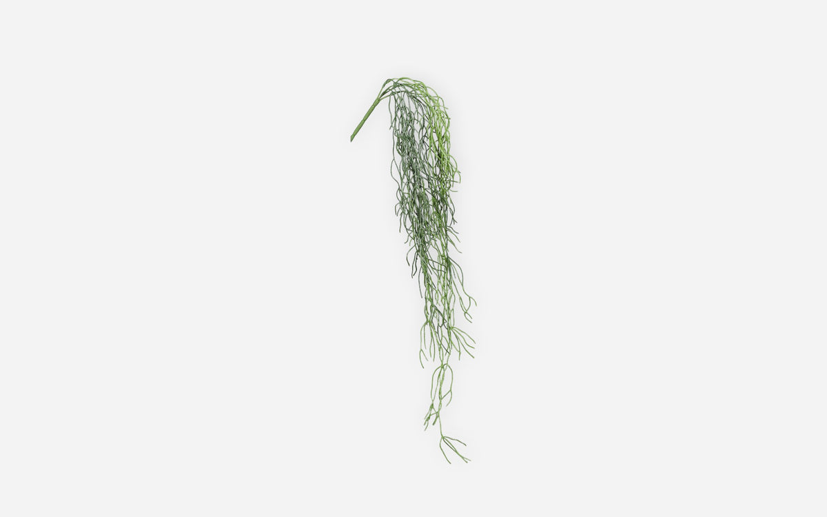 54681188 01 - Image