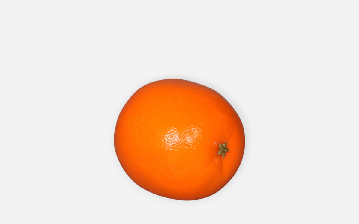 54681207 02 - Image