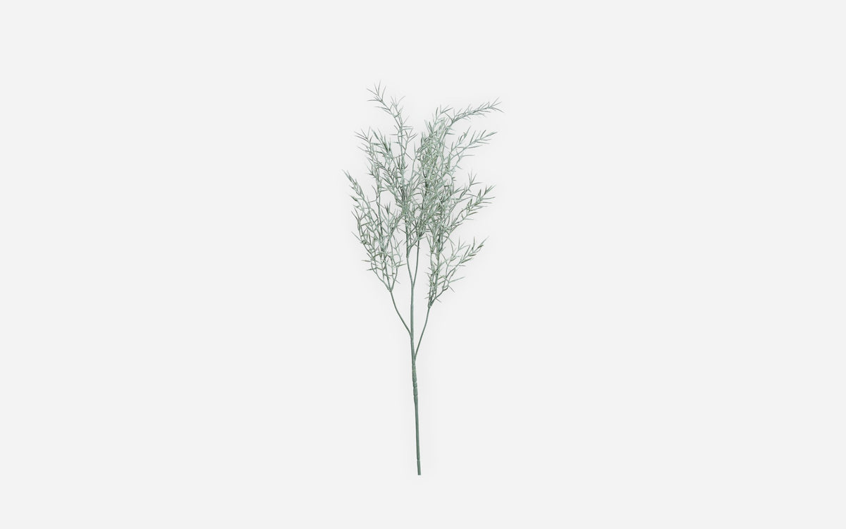 54681225 01 - Image