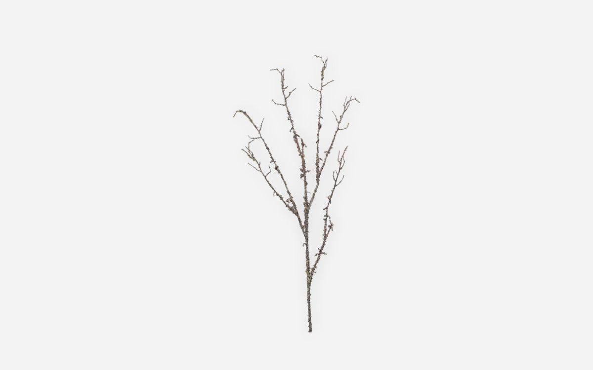 54681226 01 - Image