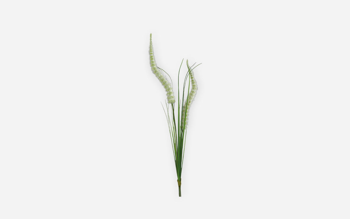 54681237 02 - Image