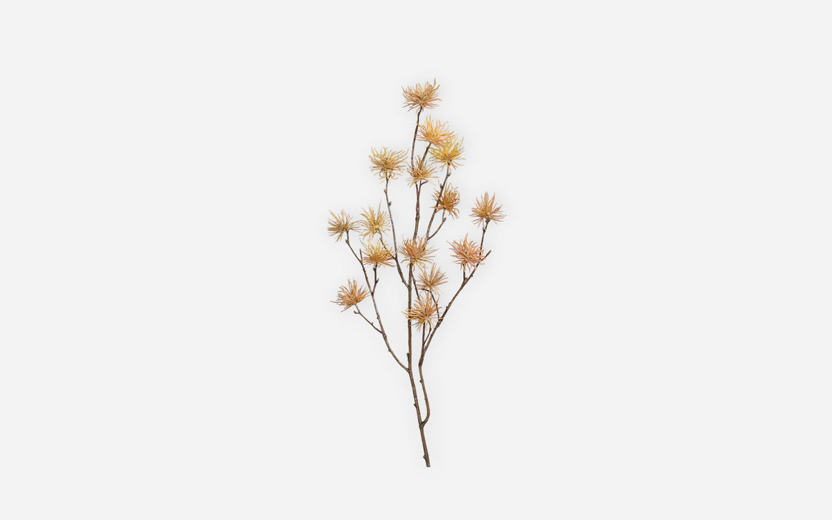 54681238 02 - Image