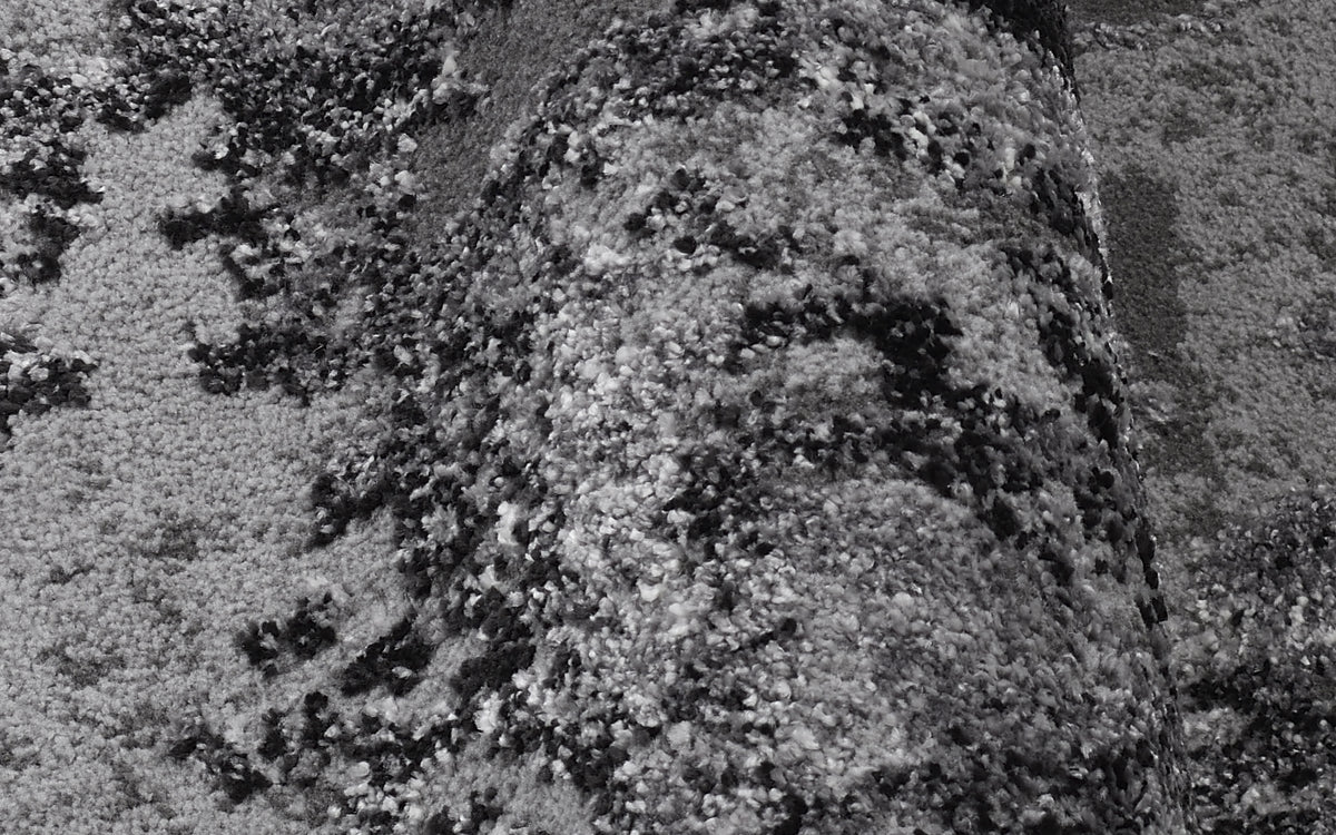59060006 03 - Image