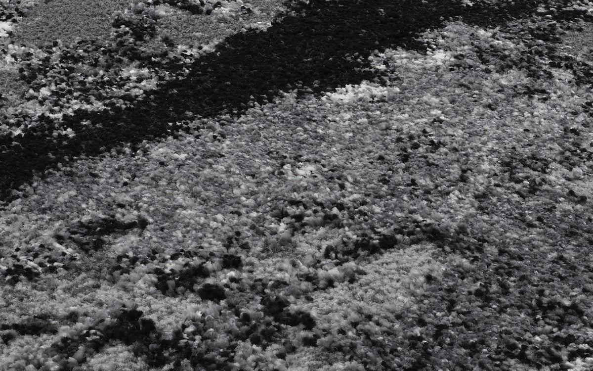 59060006 03 - Image