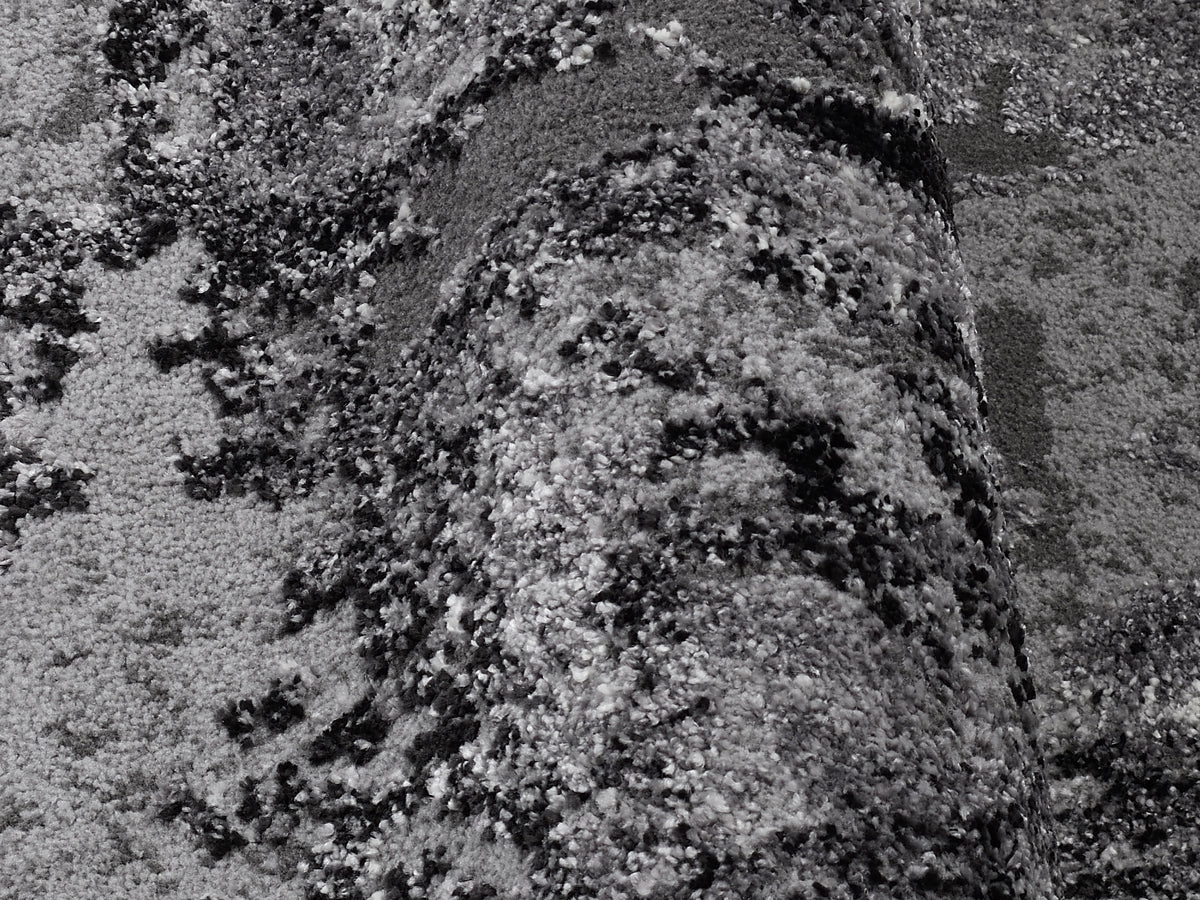 59060072 01 - Image